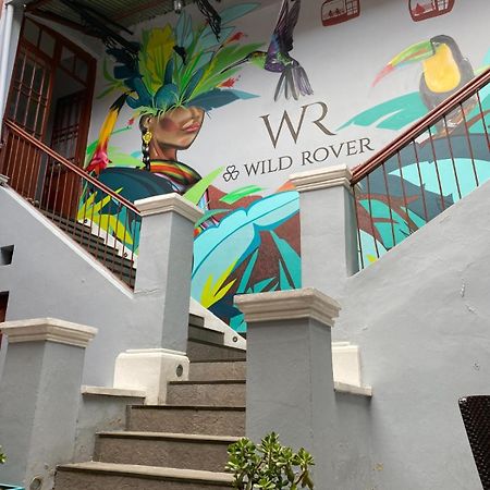 Wild Rover لاباز المظهر الخارجي الصورة
