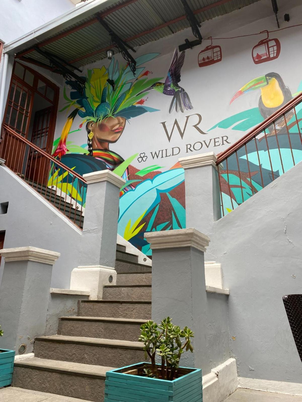 Wild Rover لاباز المظهر الخارجي الصورة